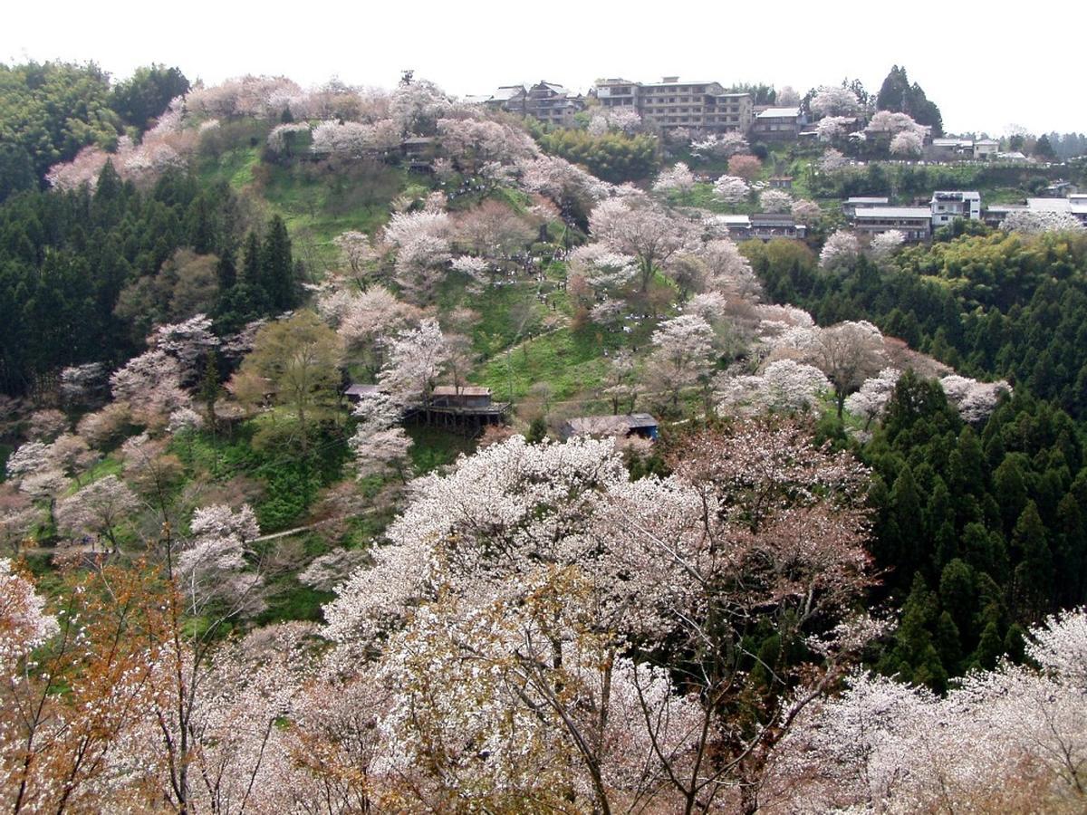 Hounkan Yoshino  Esterno foto