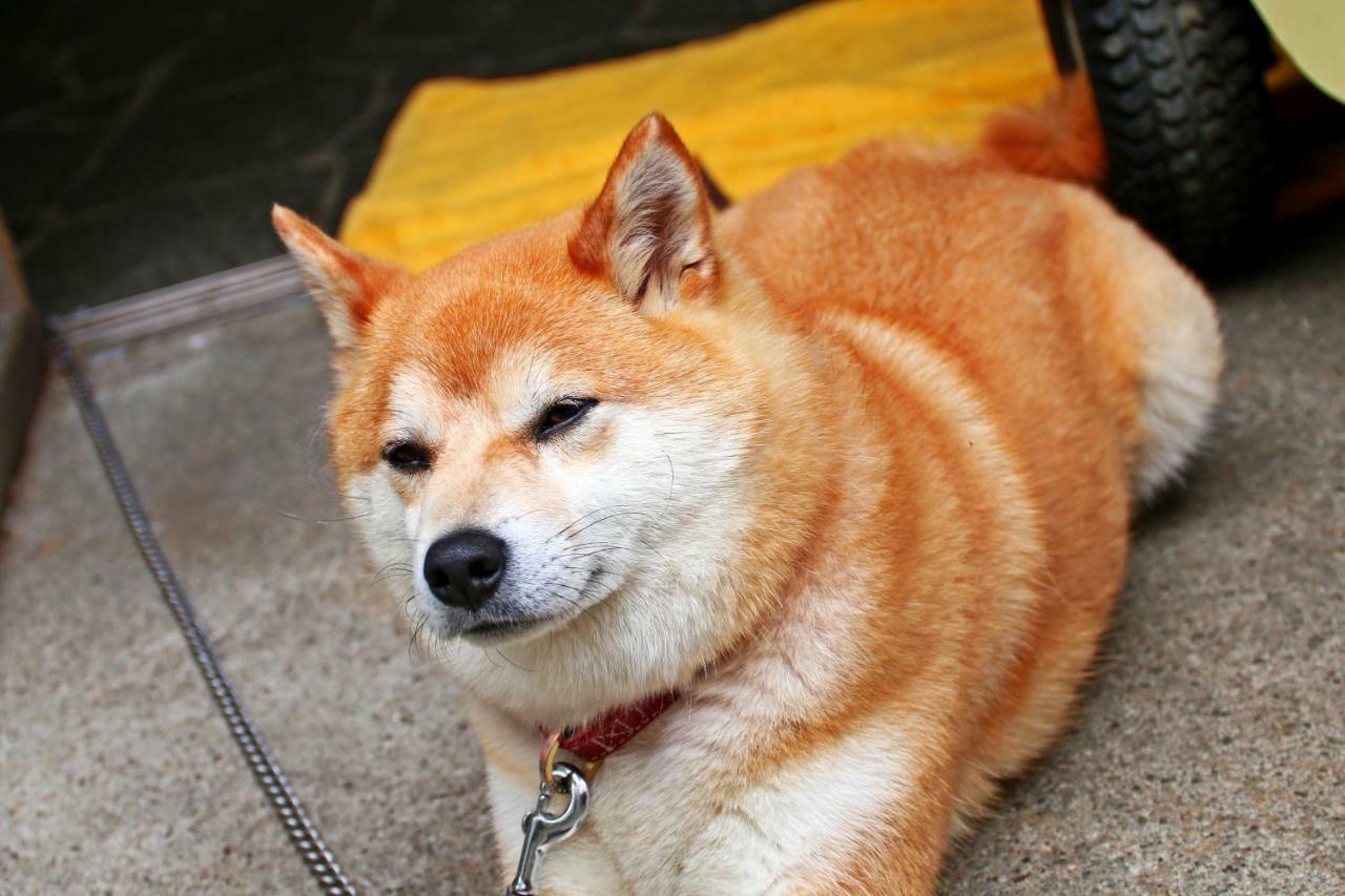 Hounkan Yoshino  Esterno foto